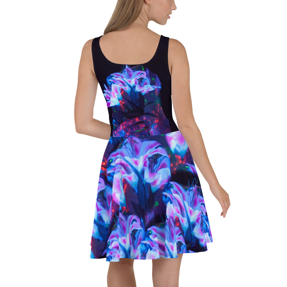 Skater Dress