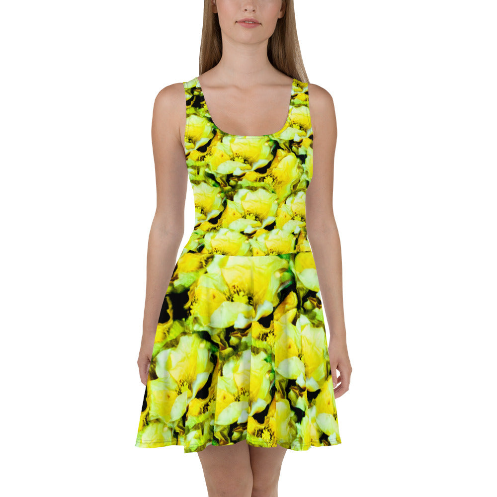 Skater Dress