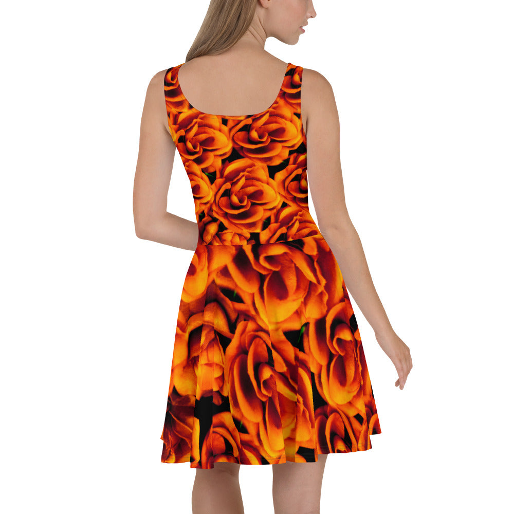 Skater Dress