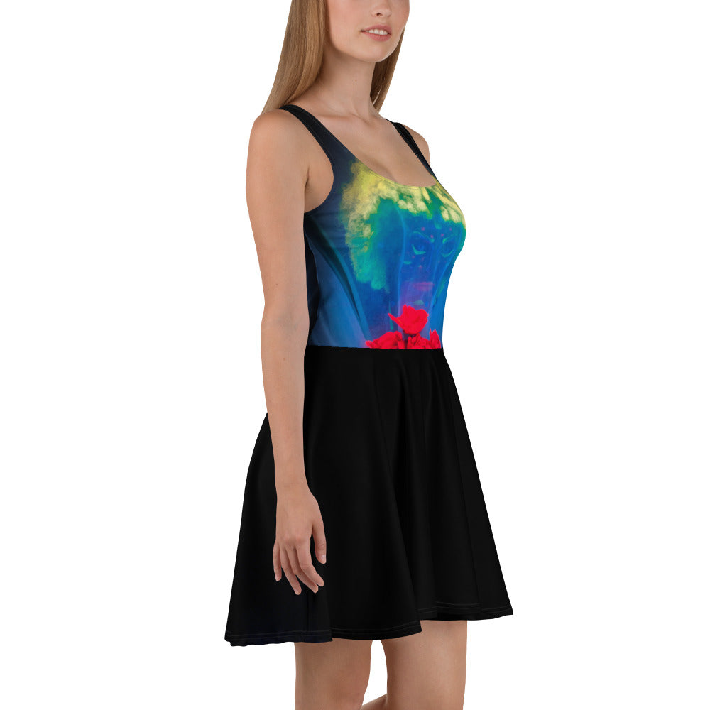 Skater Dress
