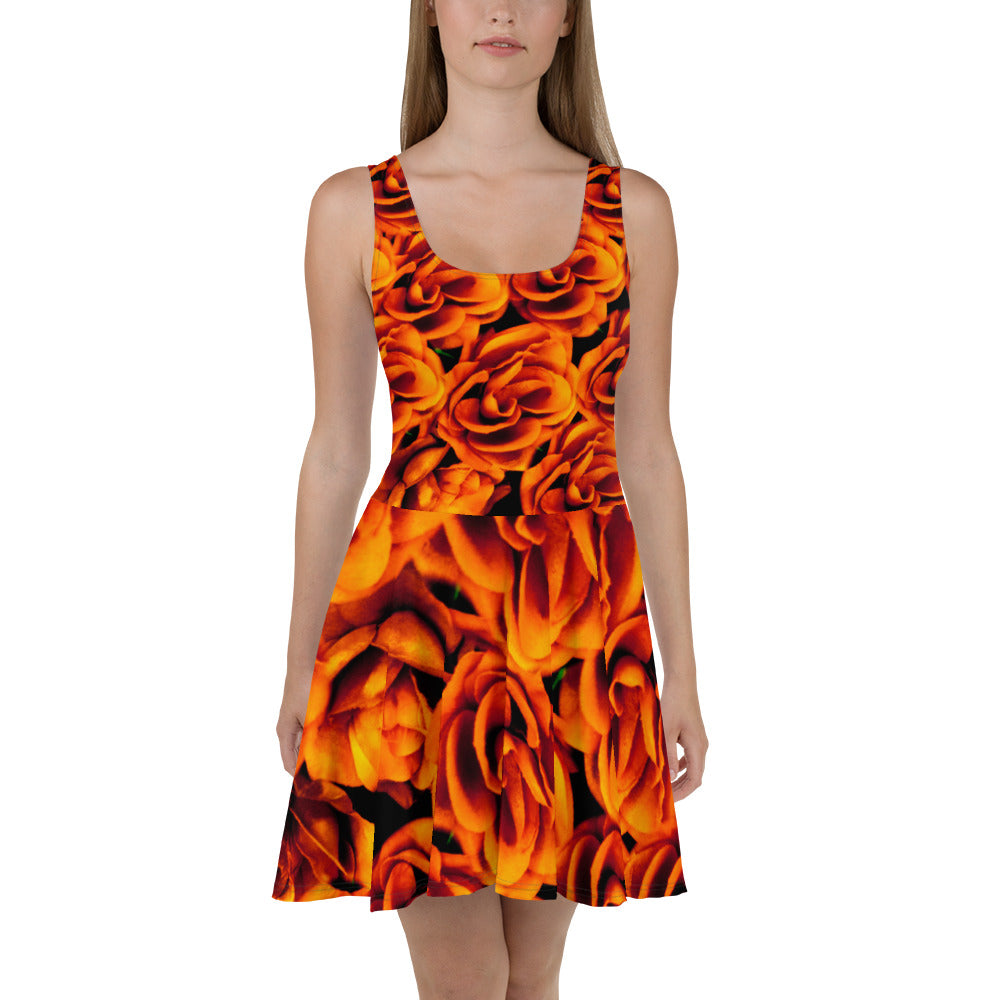 Skater Dress