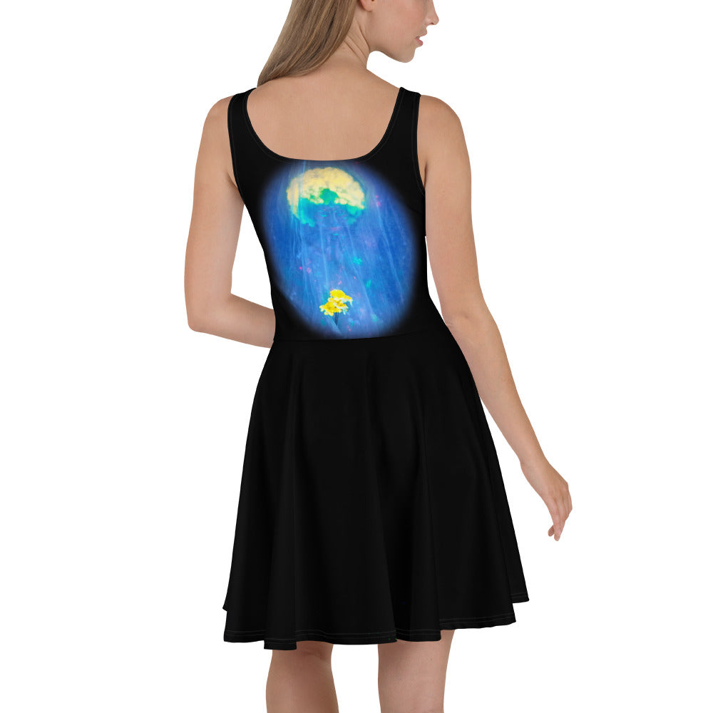 Skater Dress